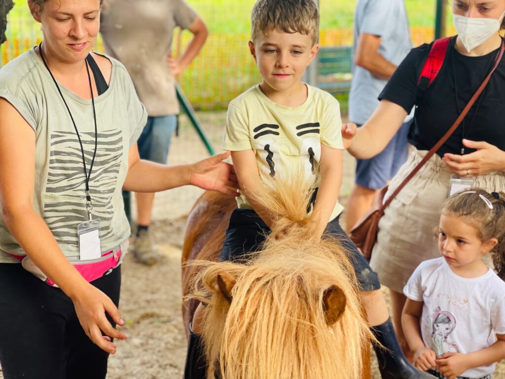 Contatti Azienda Agricola La Campanella